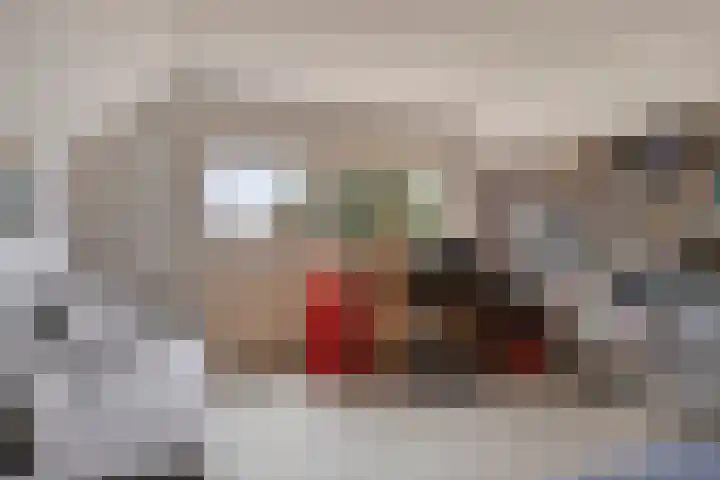 Dr Staringstraat 10 Losser thumbnail 45