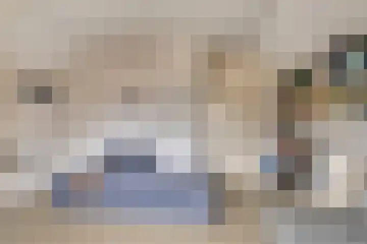 Dr Staringstraat 10 Losser thumbnail 46