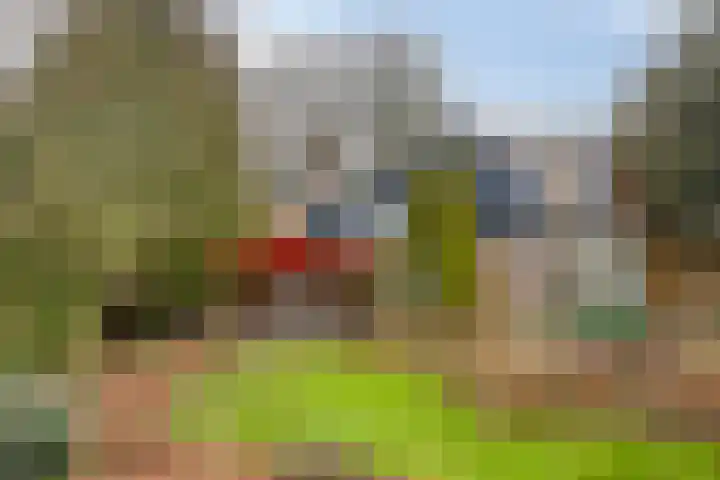 Dr Staringstraat 10 Losser thumbnail 47