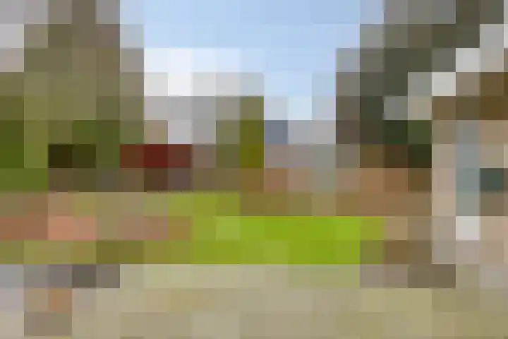 Dr Staringstraat 10 Losser thumbnail 49