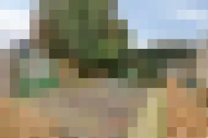 Dr Staringstraat 10 Losser thumbnail 50