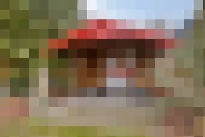 Dr Staringstraat 10 Losser thumbnail 51