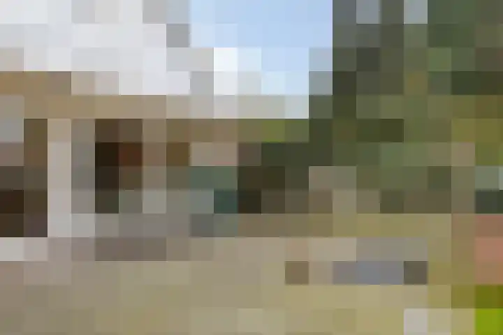 Dr Staringstraat 10 Losser thumbnail 53