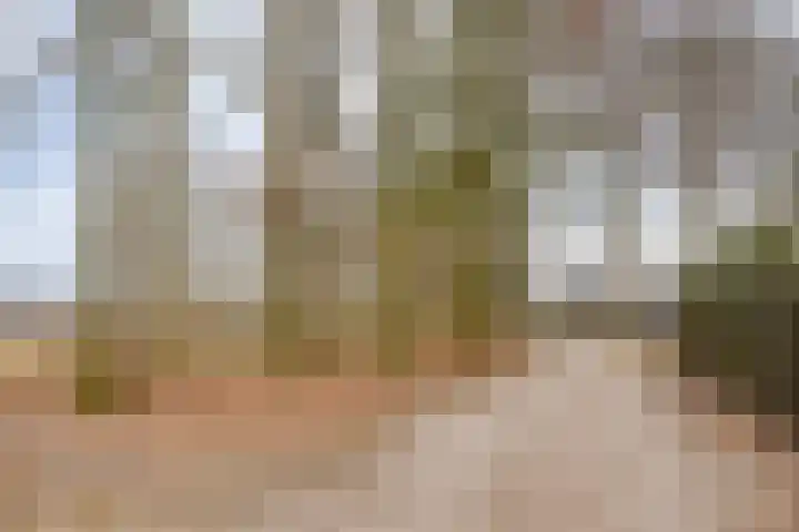 Dr Staringstraat 10 Losser thumbnail 54