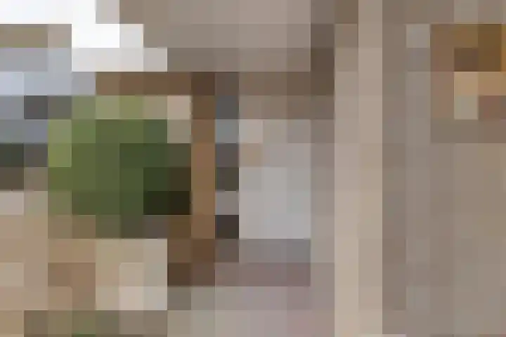 Dr Staringstraat 10 Losser thumbnail 8