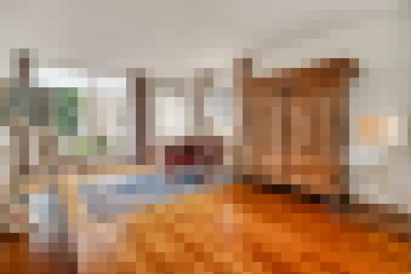 Dr Staringstraat 15 Losser thumbnail 10