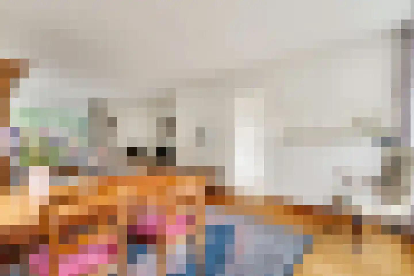 Dr Staringstraat 15 Losser thumbnail 13