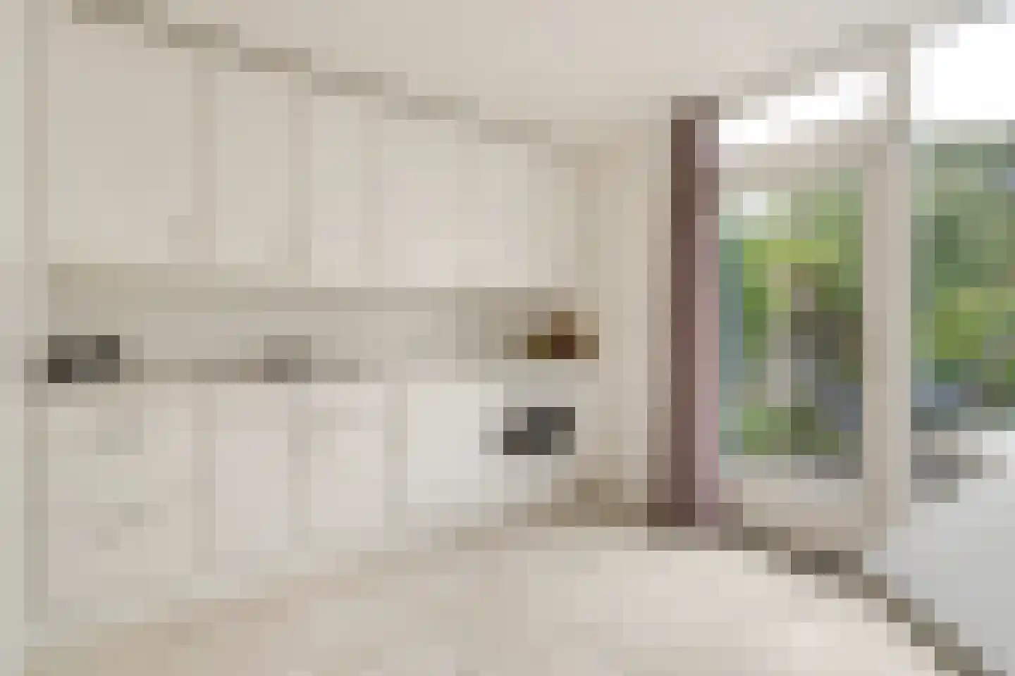 Dr Staringstraat 15 Losser thumbnail 17