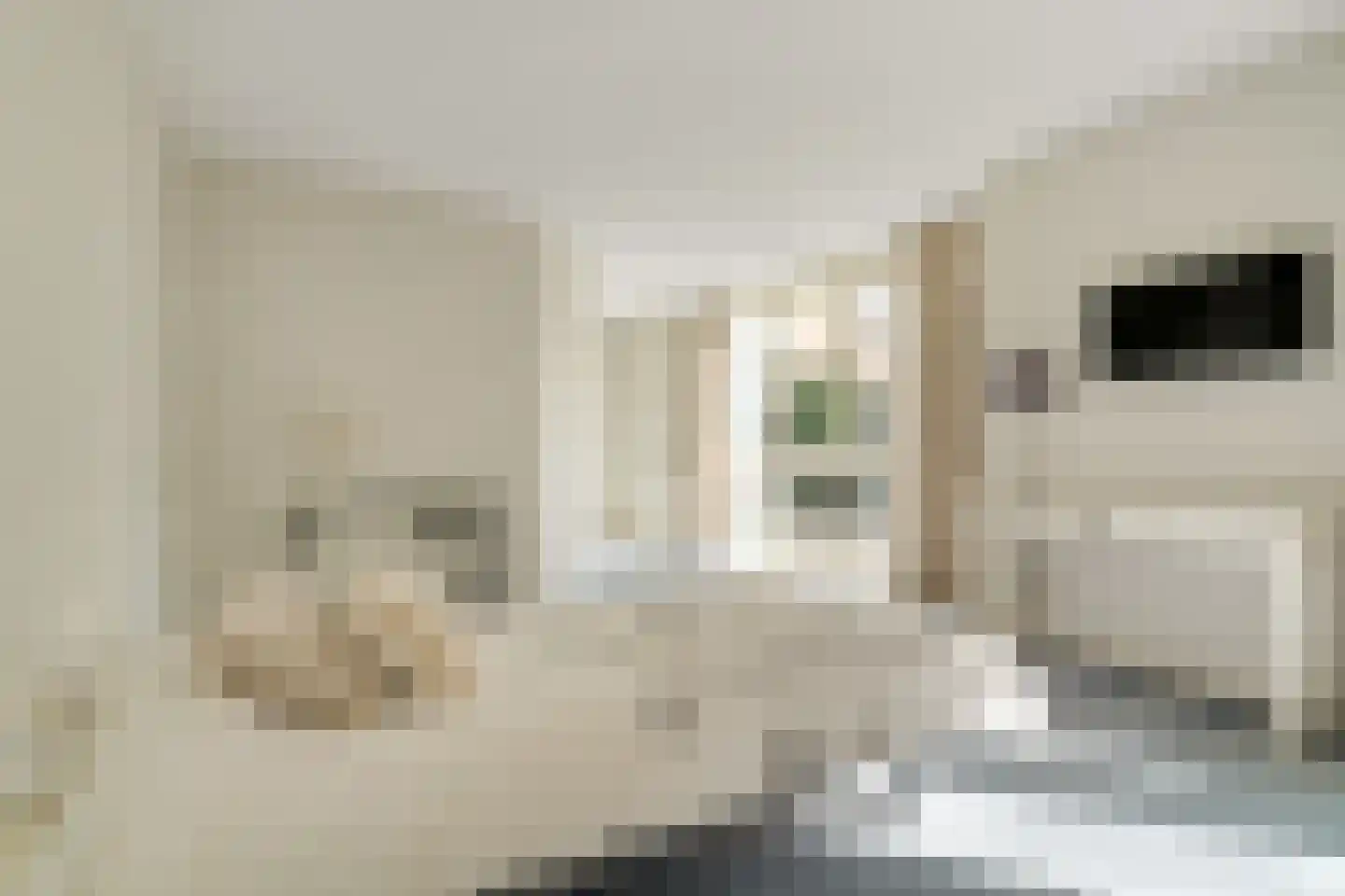 Dr Staringstraat 15 Losser thumbnail 20