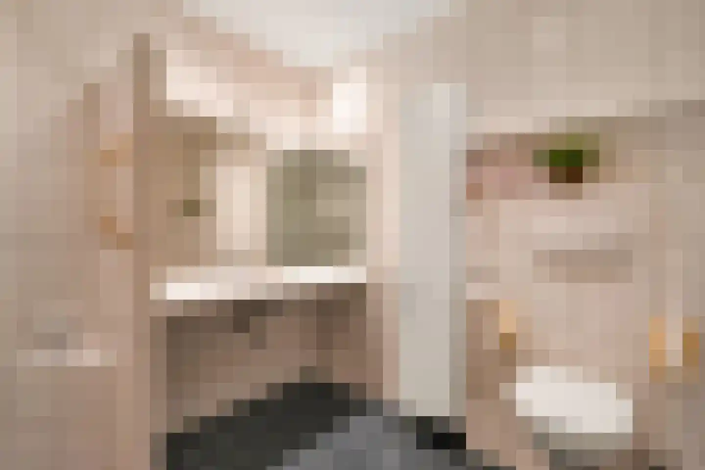 Dr Staringstraat 15 Losser thumbnail 21