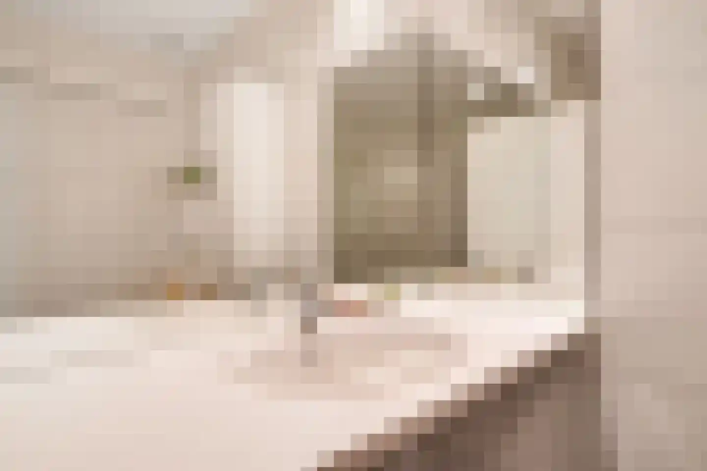 Dr Staringstraat 15 Losser thumbnail 22