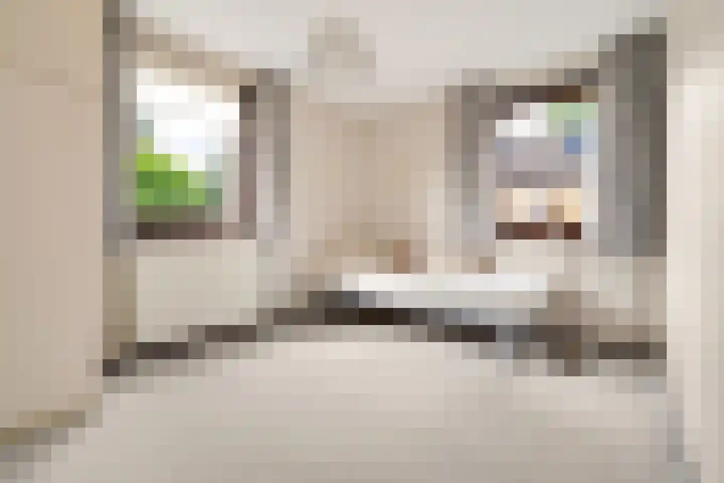 Dr Staringstraat 15 Losser thumbnail 27