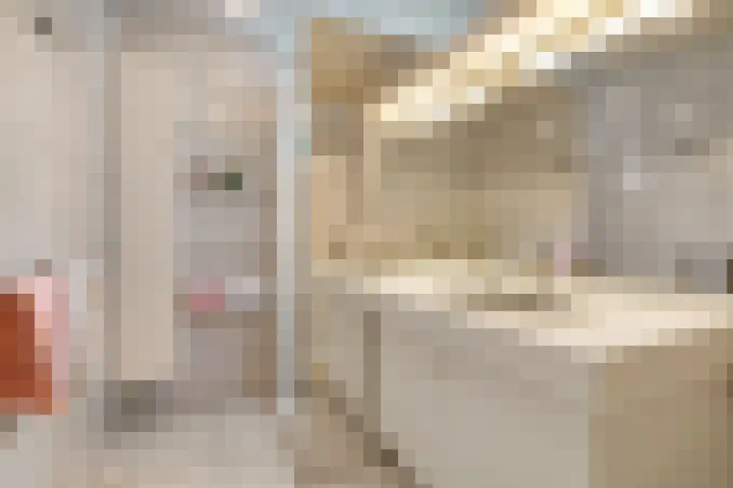 Dr Staringstraat 15 Losser thumbnail 30