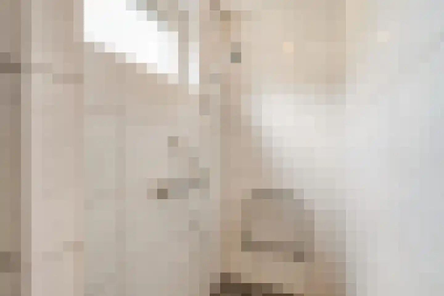Dr Staringstraat 15 Losser thumbnail 31