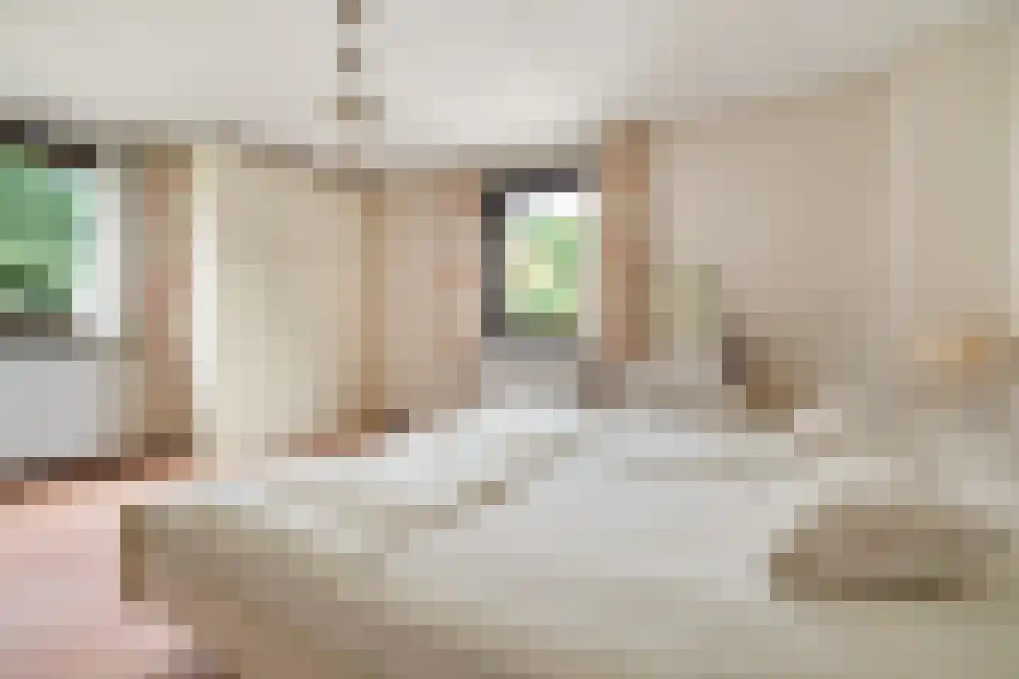Dr Staringstraat 15 Losser thumbnail 32