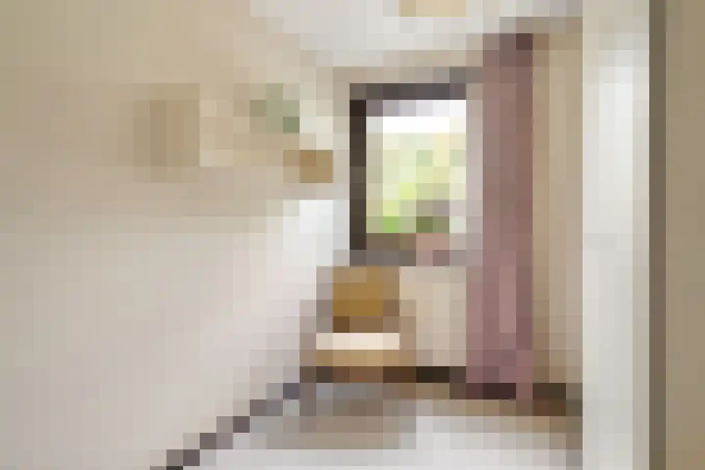 Dr Staringstraat 15 Losser thumbnail 36