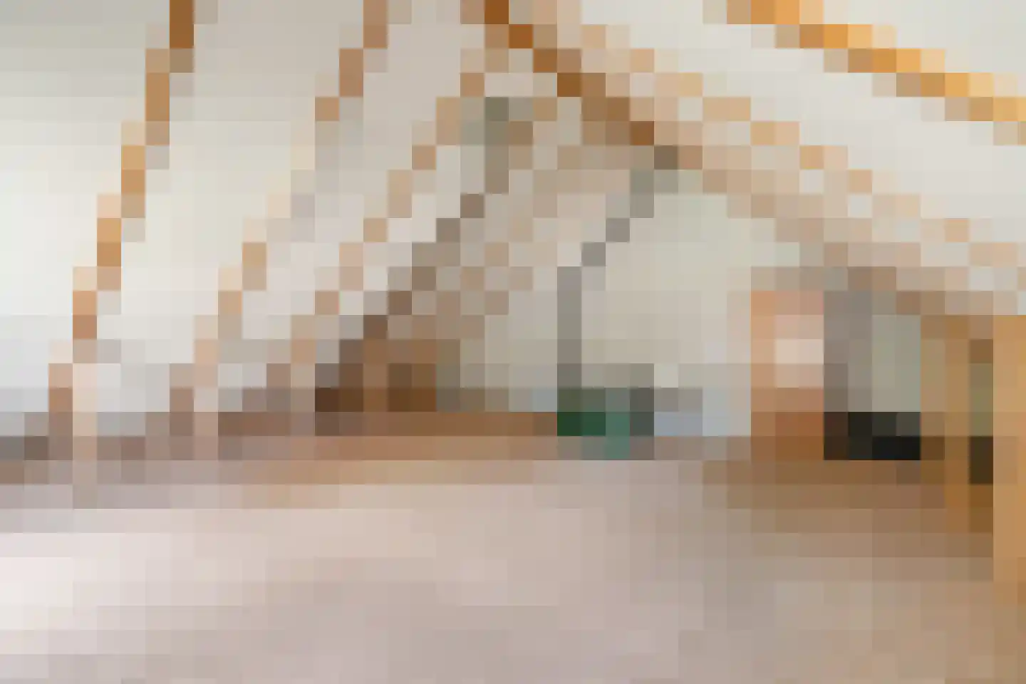 Dr Staringstraat 15 Losser thumbnail 37