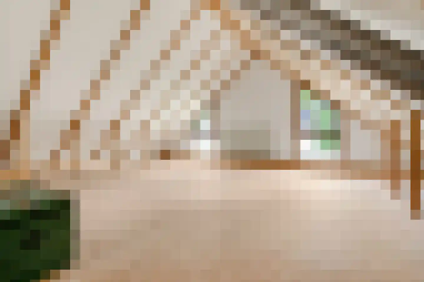 Dr Staringstraat 15 Losser thumbnail 38