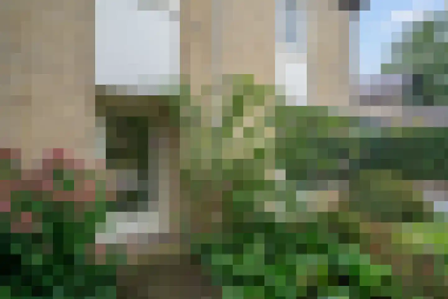 Dr Staringstraat 15 Losser thumbnail 47