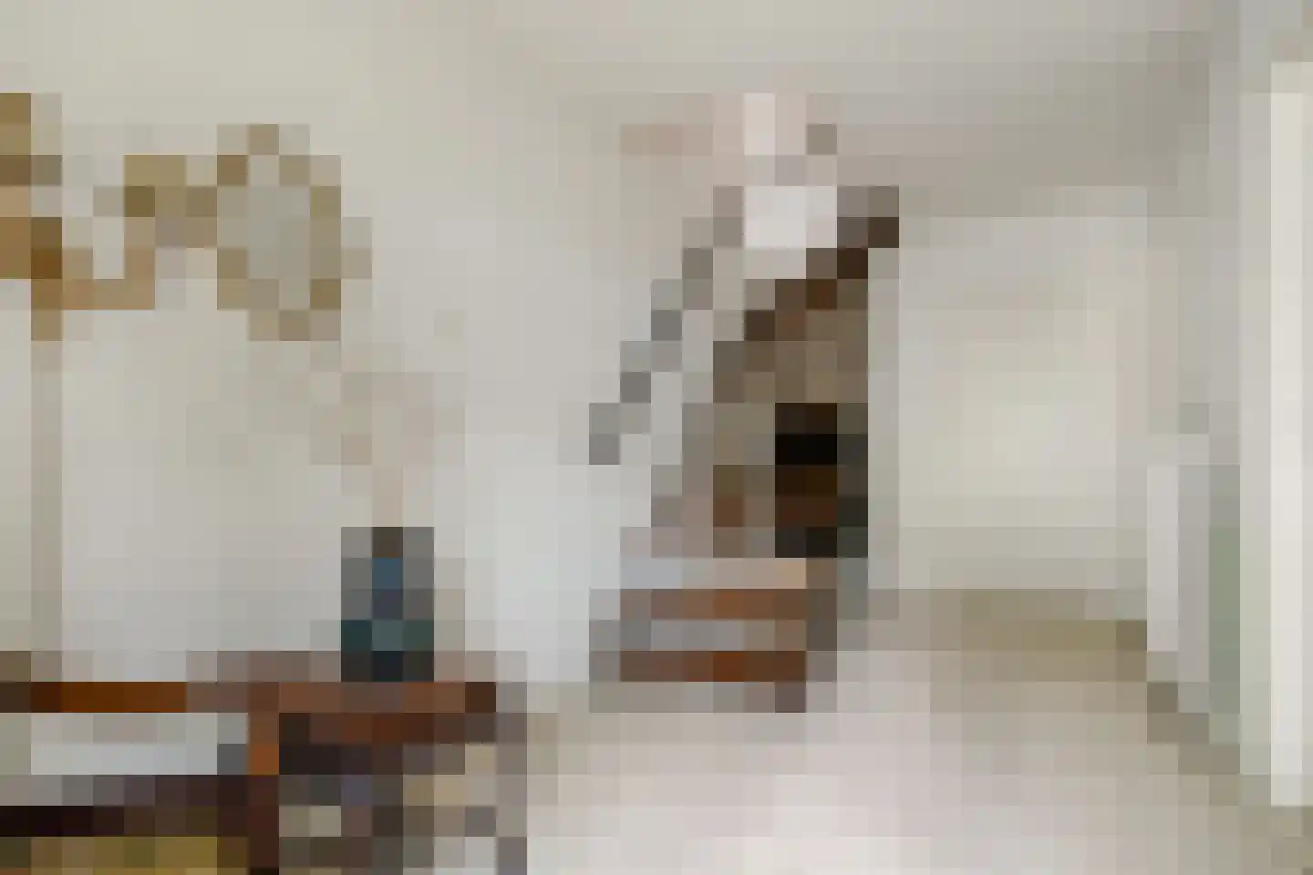 Dr Staringstraat 15 Losser thumbnail 5