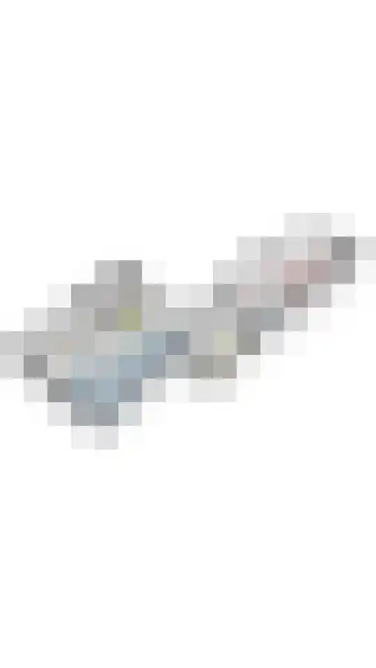 Dr Staringstraat 15 Losser thumbnail 52