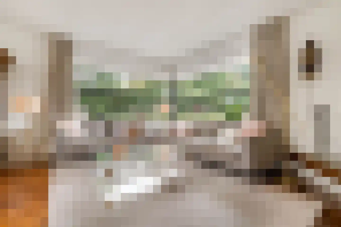 Dr Staringstraat 15 Losser thumbnail 7