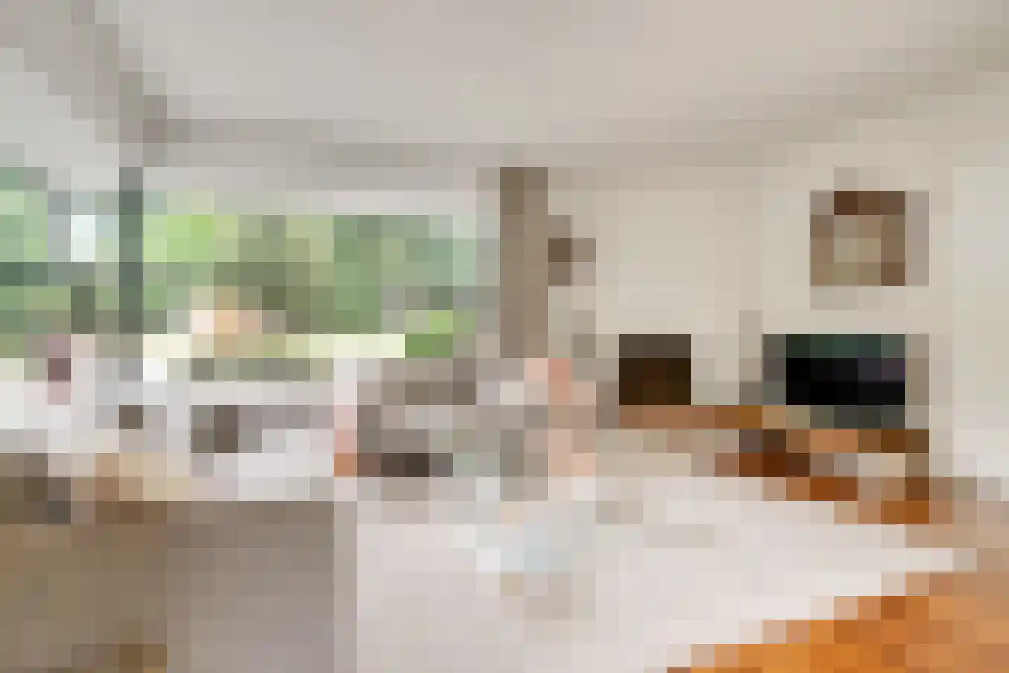 Dr Staringstraat 15 Losser thumbnail 8