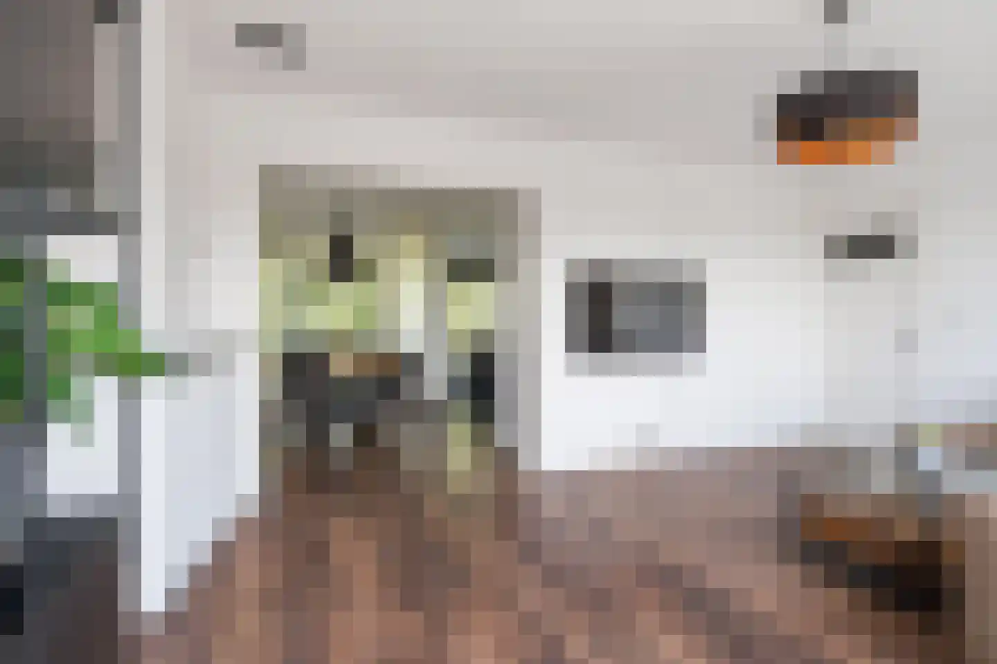 Dr. Struyckenstraat 104 C Breda thumbnail 11
