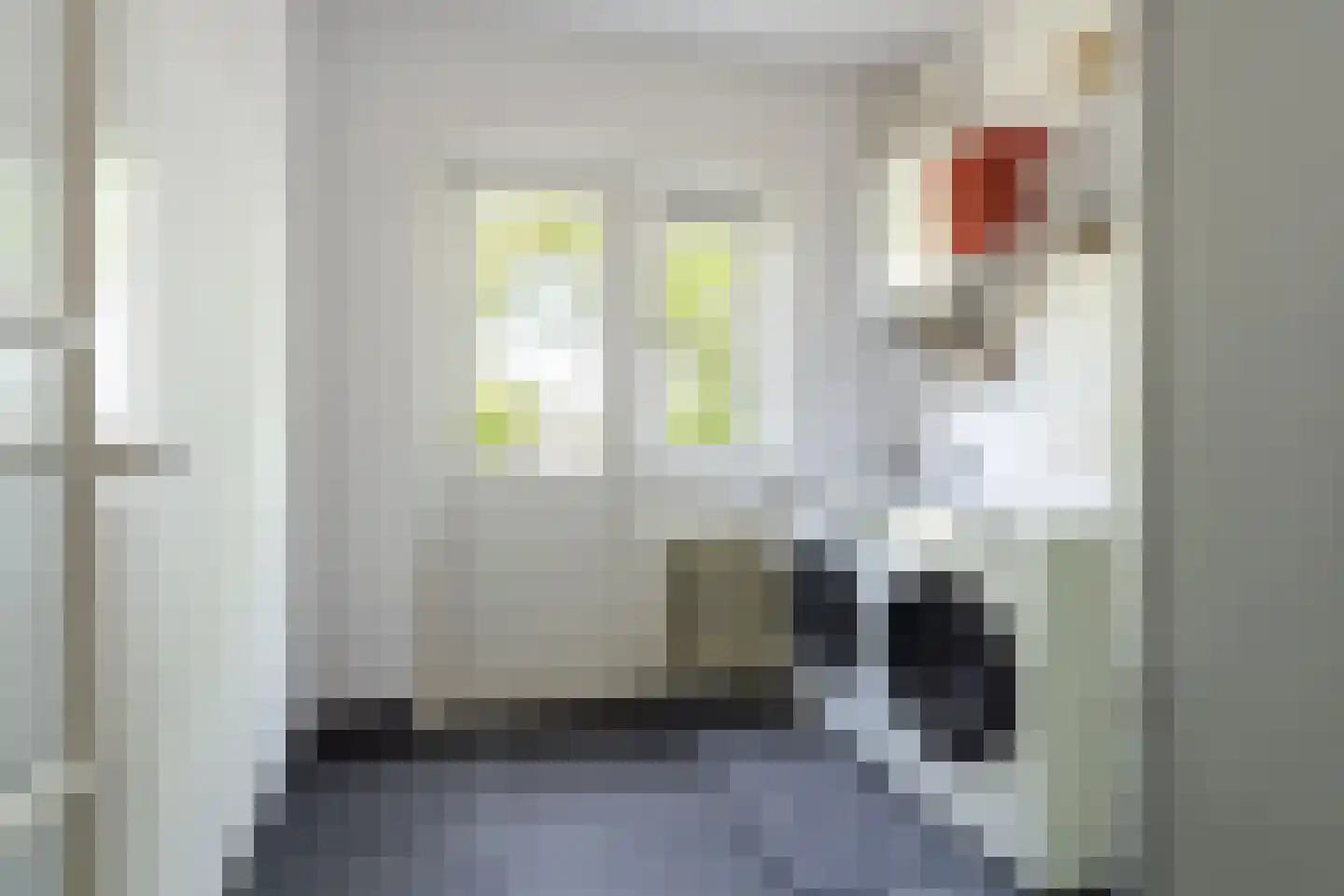 Dr. Struyckenstraat 104 C Breda thumbnail 22