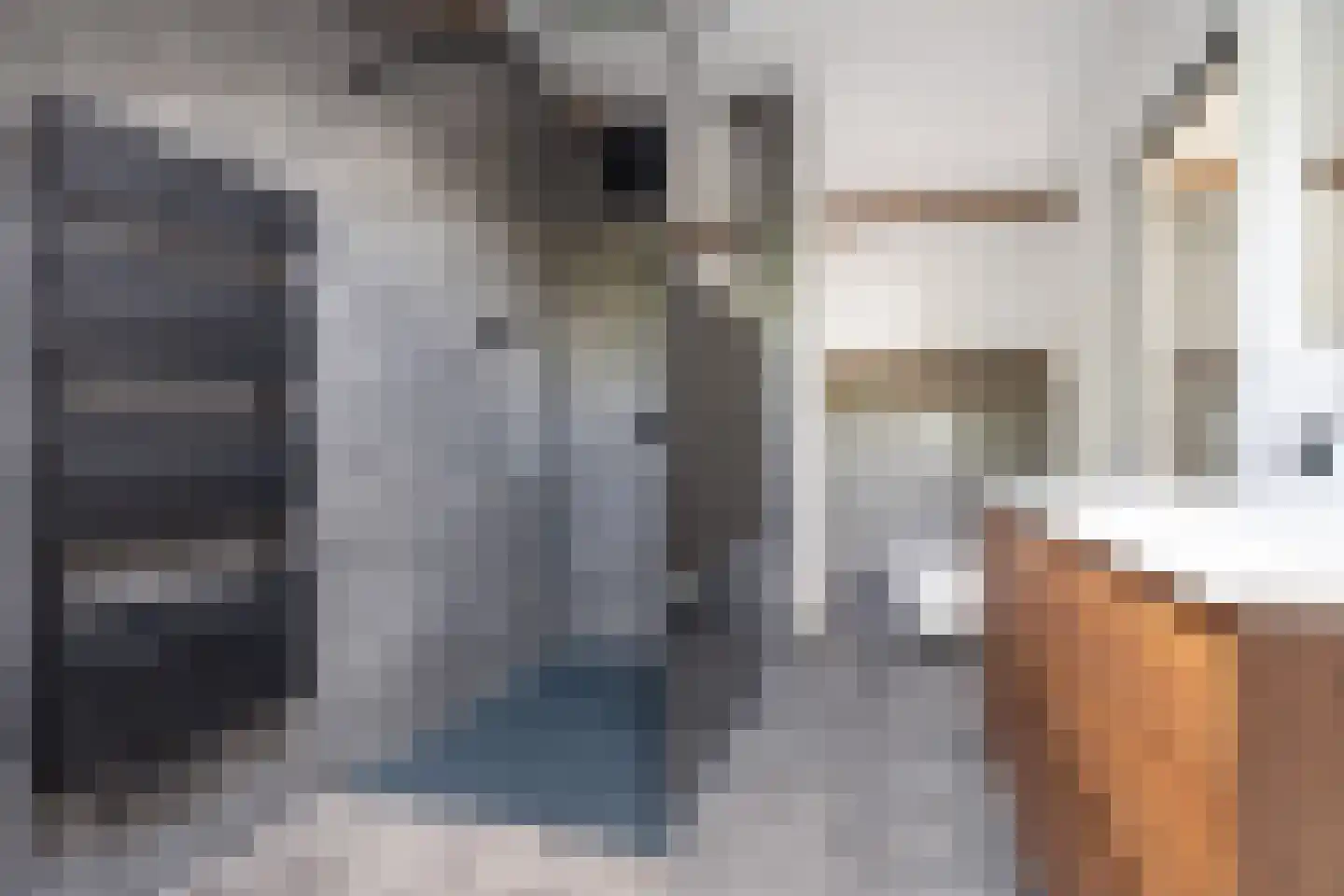 Dr. Struyckenstraat 104 C Breda thumbnail 36