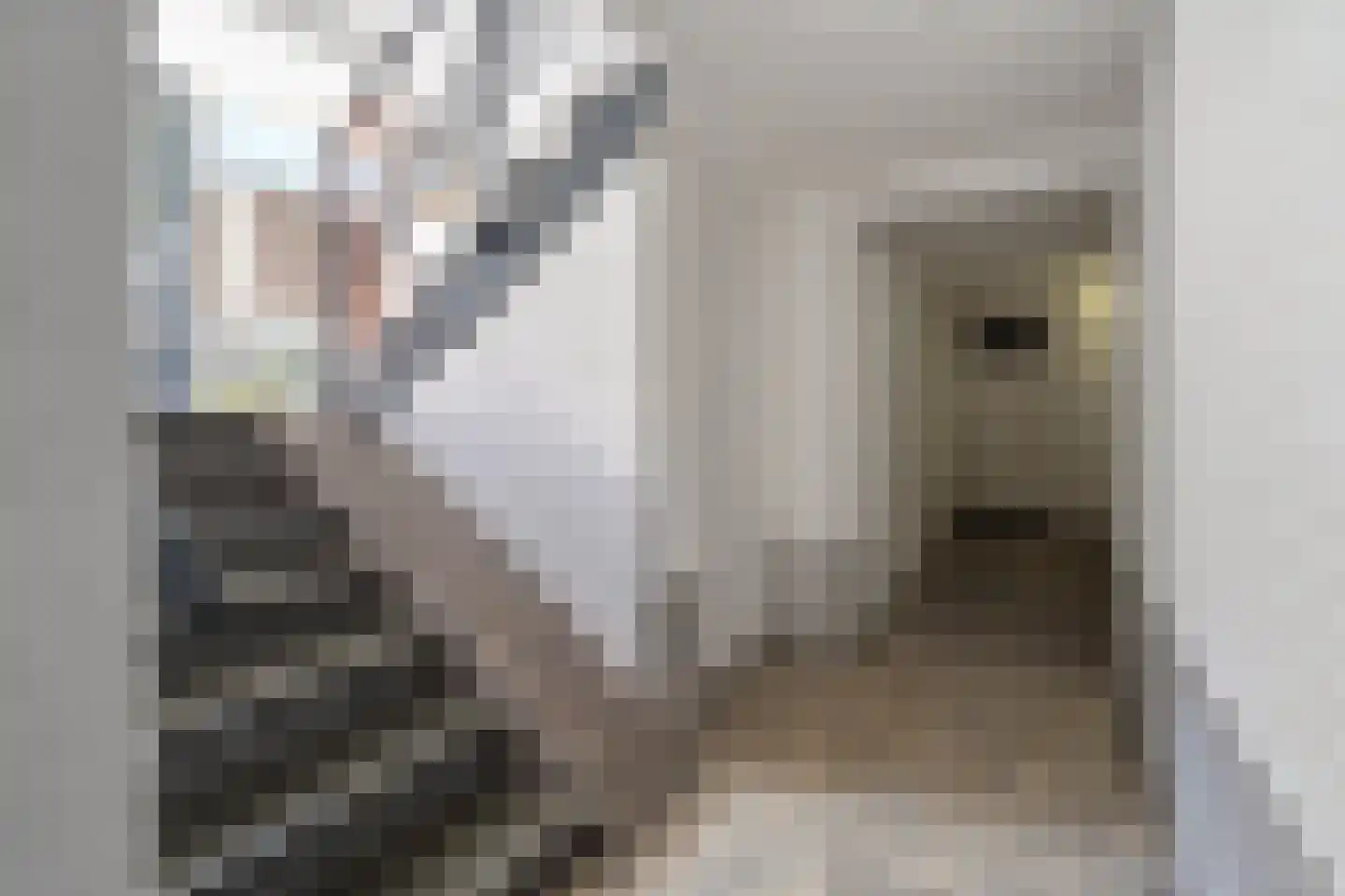 Dr. Struyckenstraat 104 C Breda thumbnail 39
