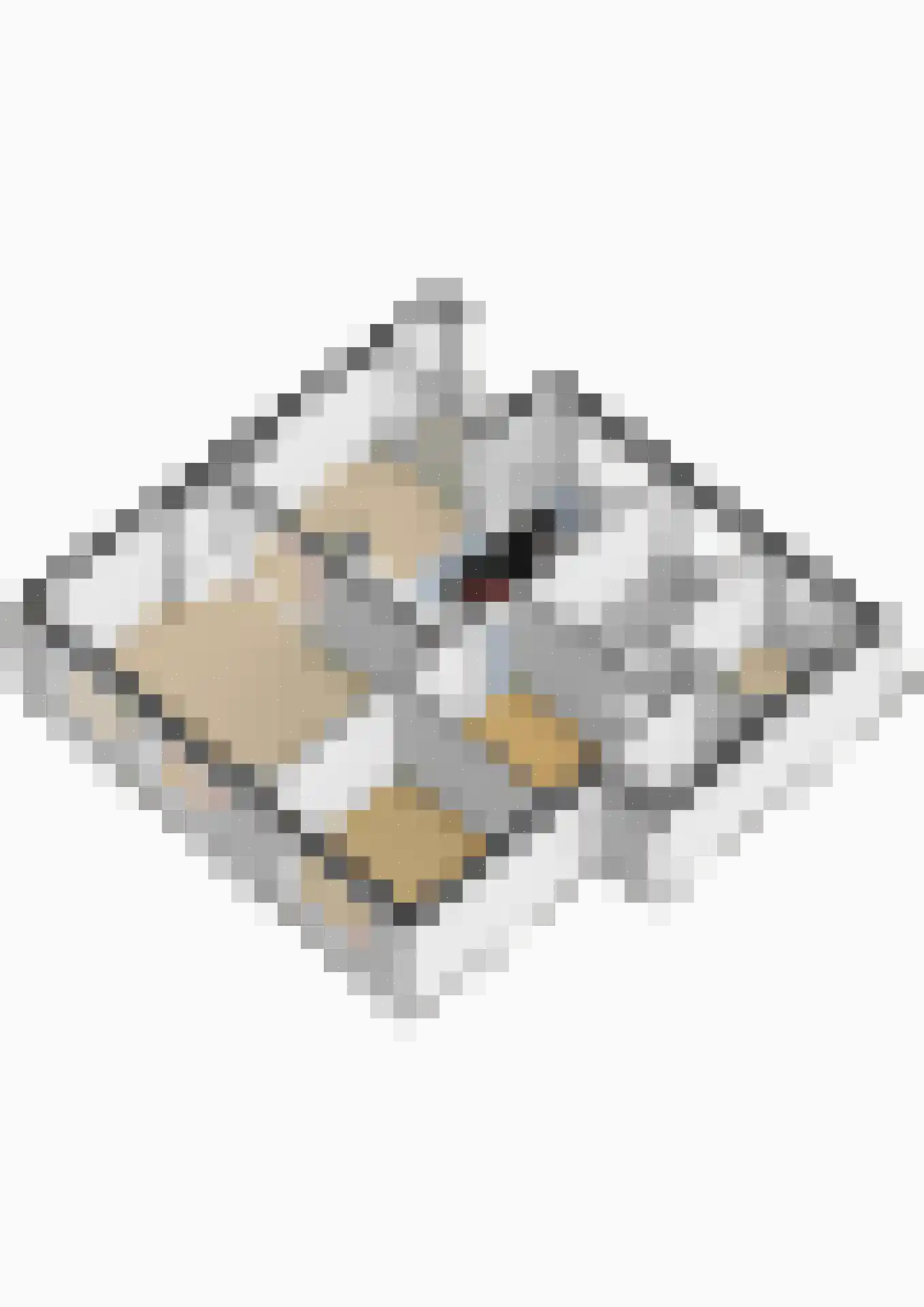 Dr. Struyckenstraat 104 C Breda thumbnail 47