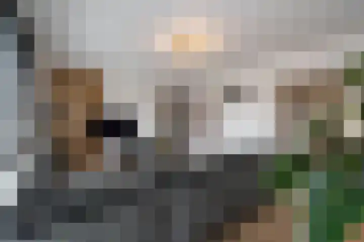 Dr. Struyckenstraat 110 B Breda thumbnail 14
