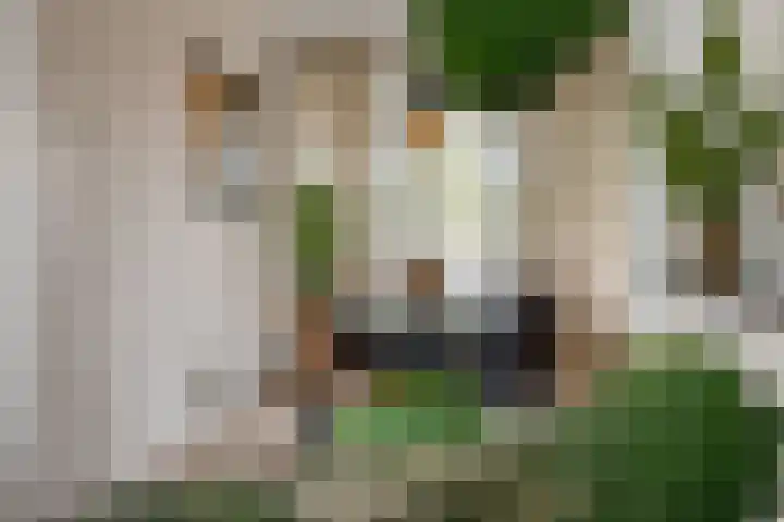Dr. Struyckenstraat 110 B Breda thumbnail 19