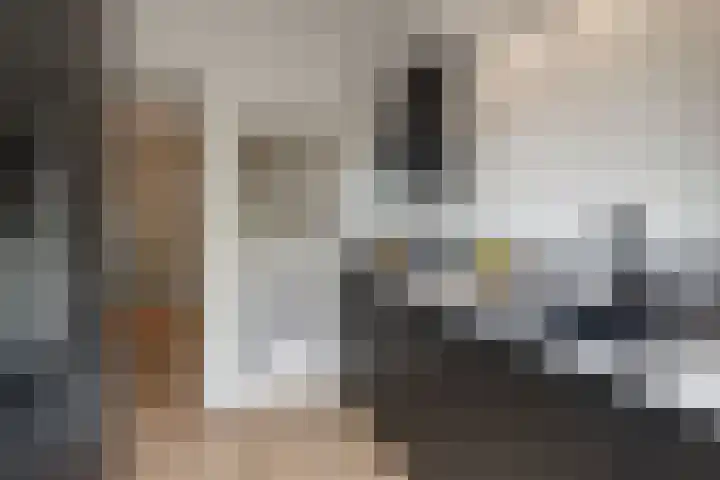 Dr. Struyckenstraat 110 B Breda thumbnail 22