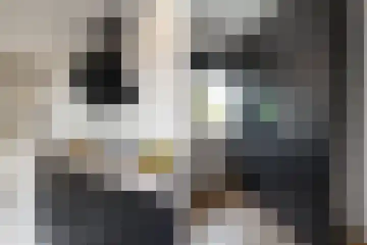 Dr. Struyckenstraat 110 B Breda thumbnail 25