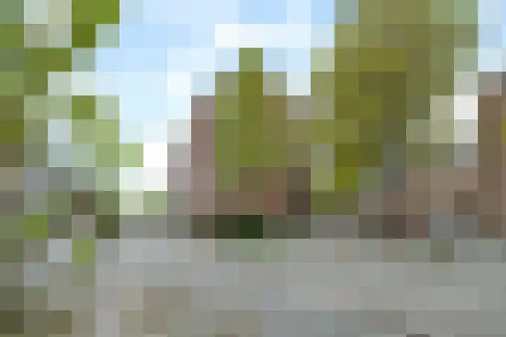 Dr. Struyckenstraat 110 B Breda thumbnail 36