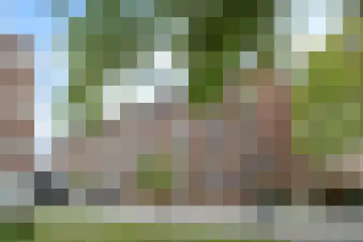 Dr. Struyckenstraat 110 B Breda thumbnail 46