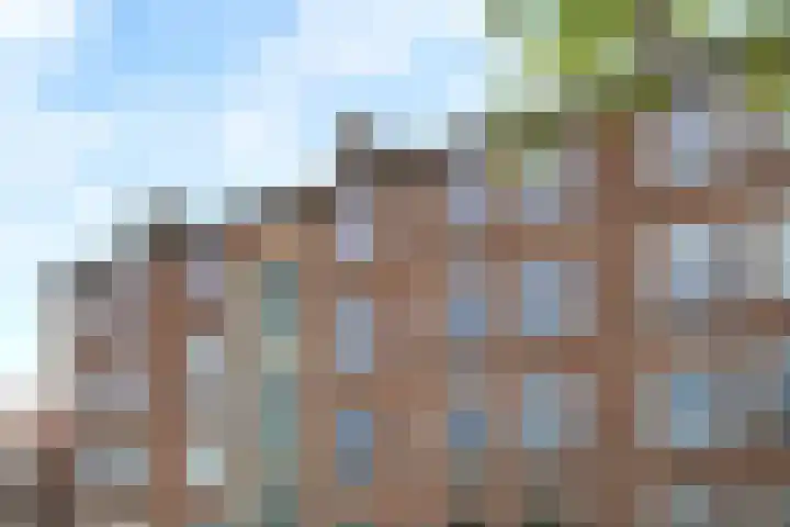 Dr. Struyckenstraat 110 B Breda thumbnail 5