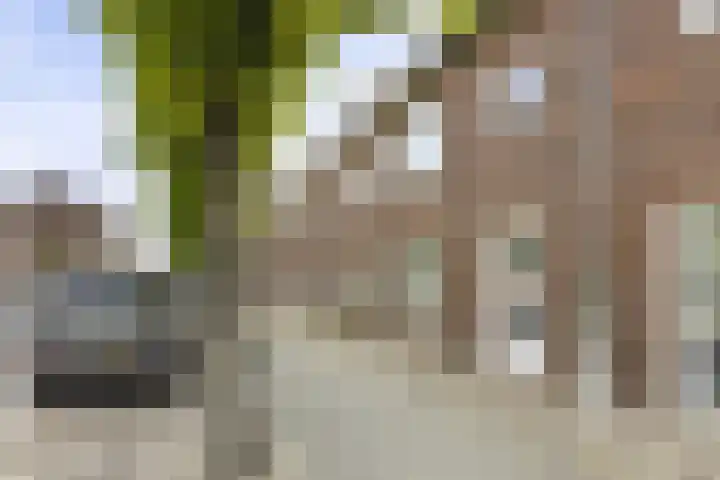 Dr. Struyckenstraat 129 in Breda