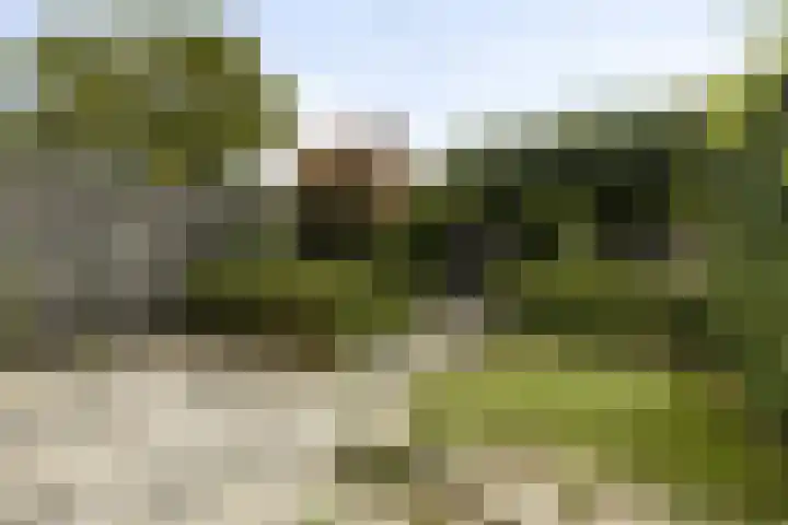 Dr. Struyckenstraat 129 Breda thumbnail 30