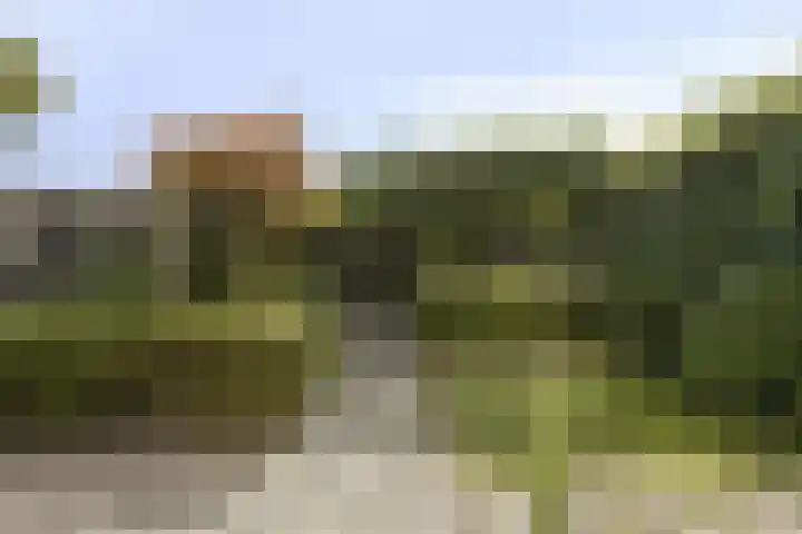 Dr. Struyckenstraat 129 Breda thumbnail 31