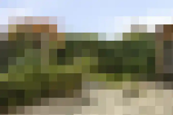 Dr. Struyckenstraat 129 Breda thumbnail 32