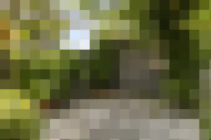 Dr. Struyckenstraat 129 Breda thumbnail 33