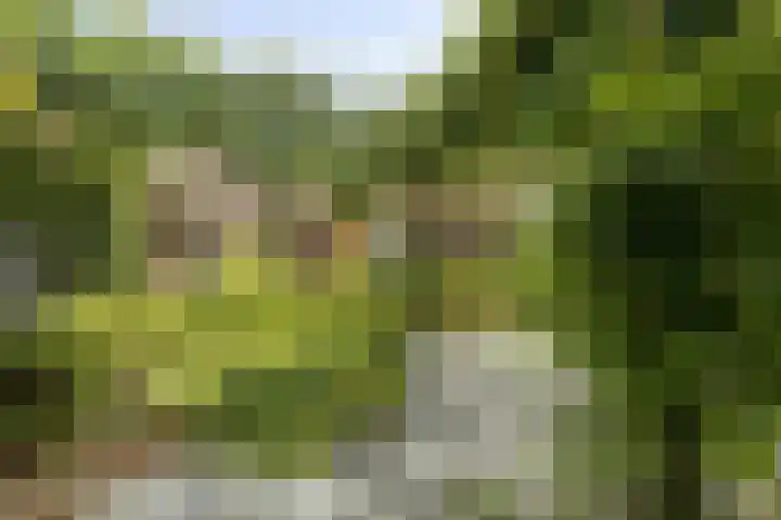 Dr. Struyckenstraat 129 Breda thumbnail 34