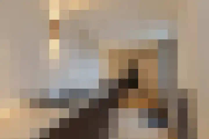 Dr. Struyckenstraat 129 Breda thumbnail 35