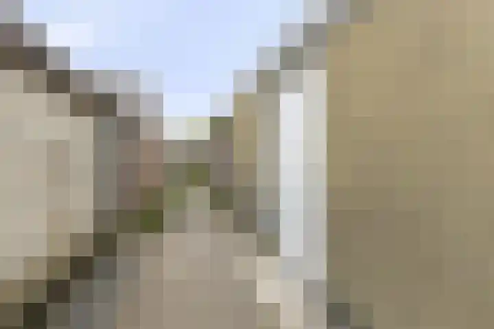 Dr. Struyckenstraat 129 Breda thumbnail 38