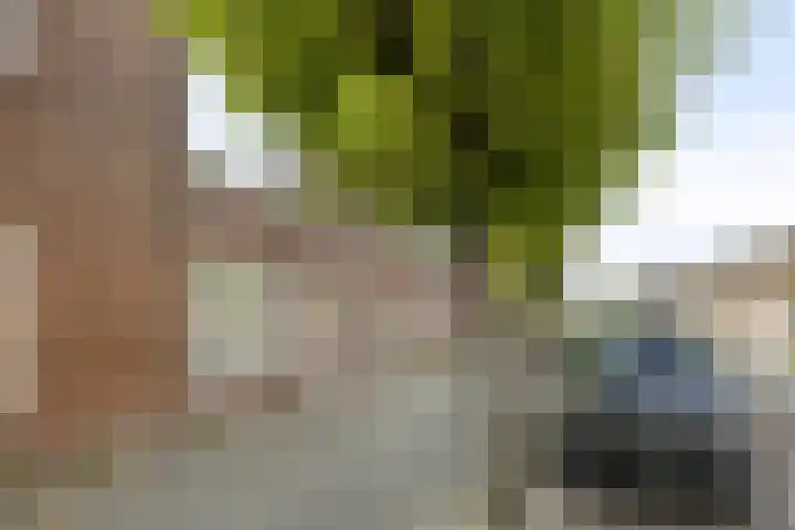 Dr. Struyckenstraat 129 Breda thumbnail 39