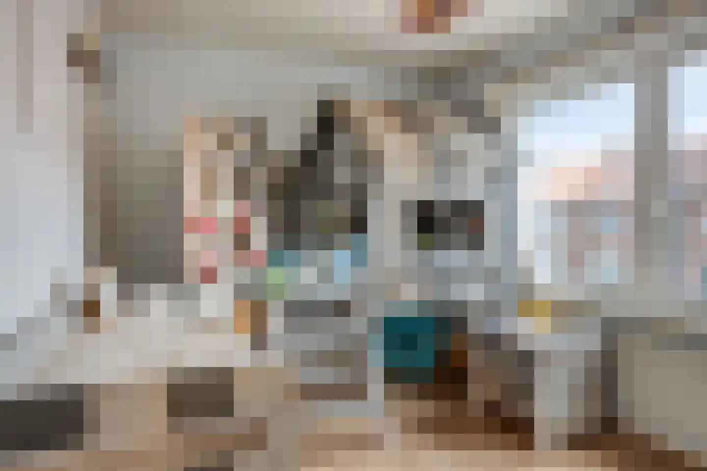 Dr. Struyckenstraat 132 Breda thumbnail 21