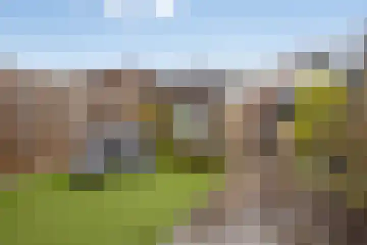Dr. Struyckenstraat 132 Breda thumbnail 31